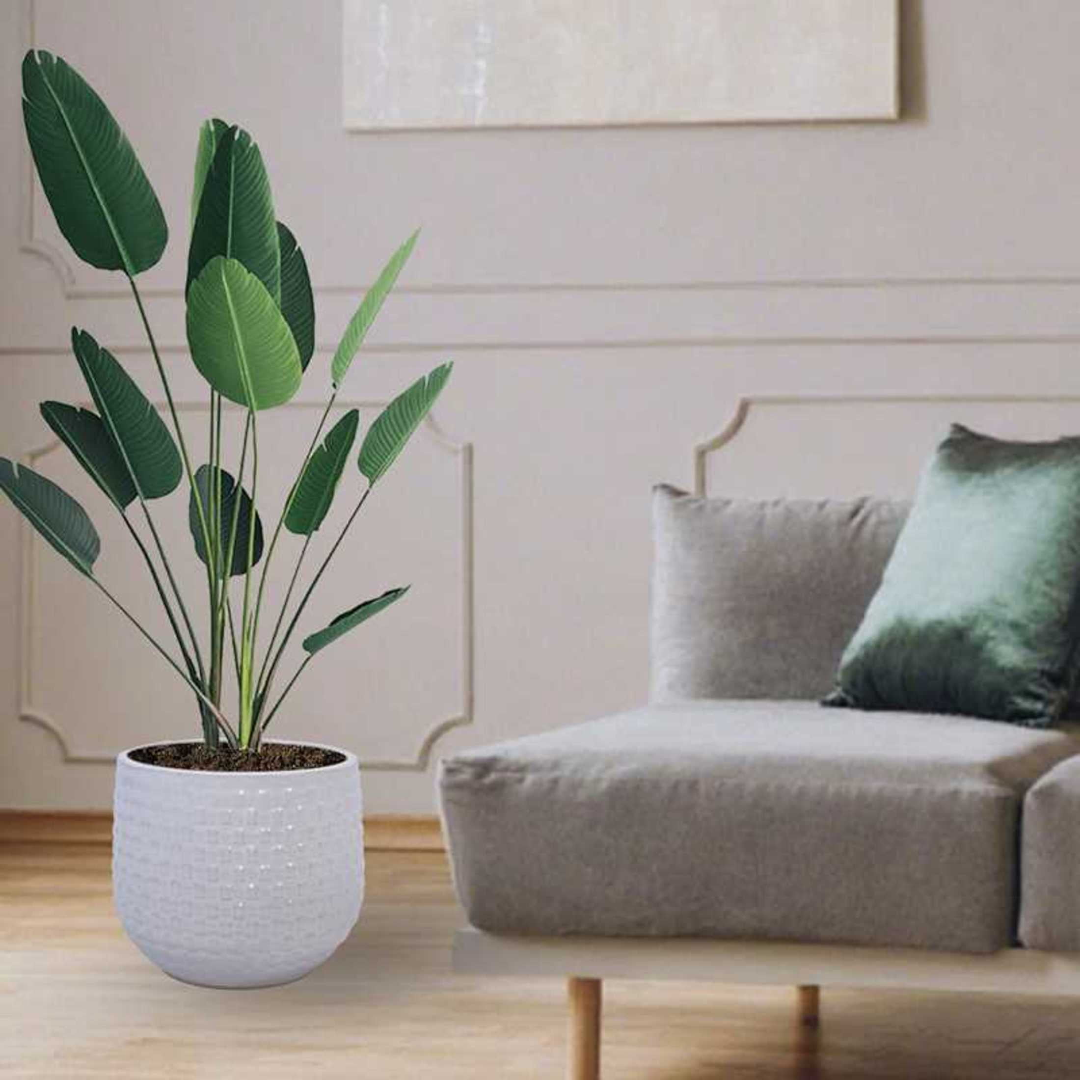 Noble House Modern Nicole Flowerpot Set, Premium Ceramic with Matte Finish and Drainage Hole, Set of 3, White
