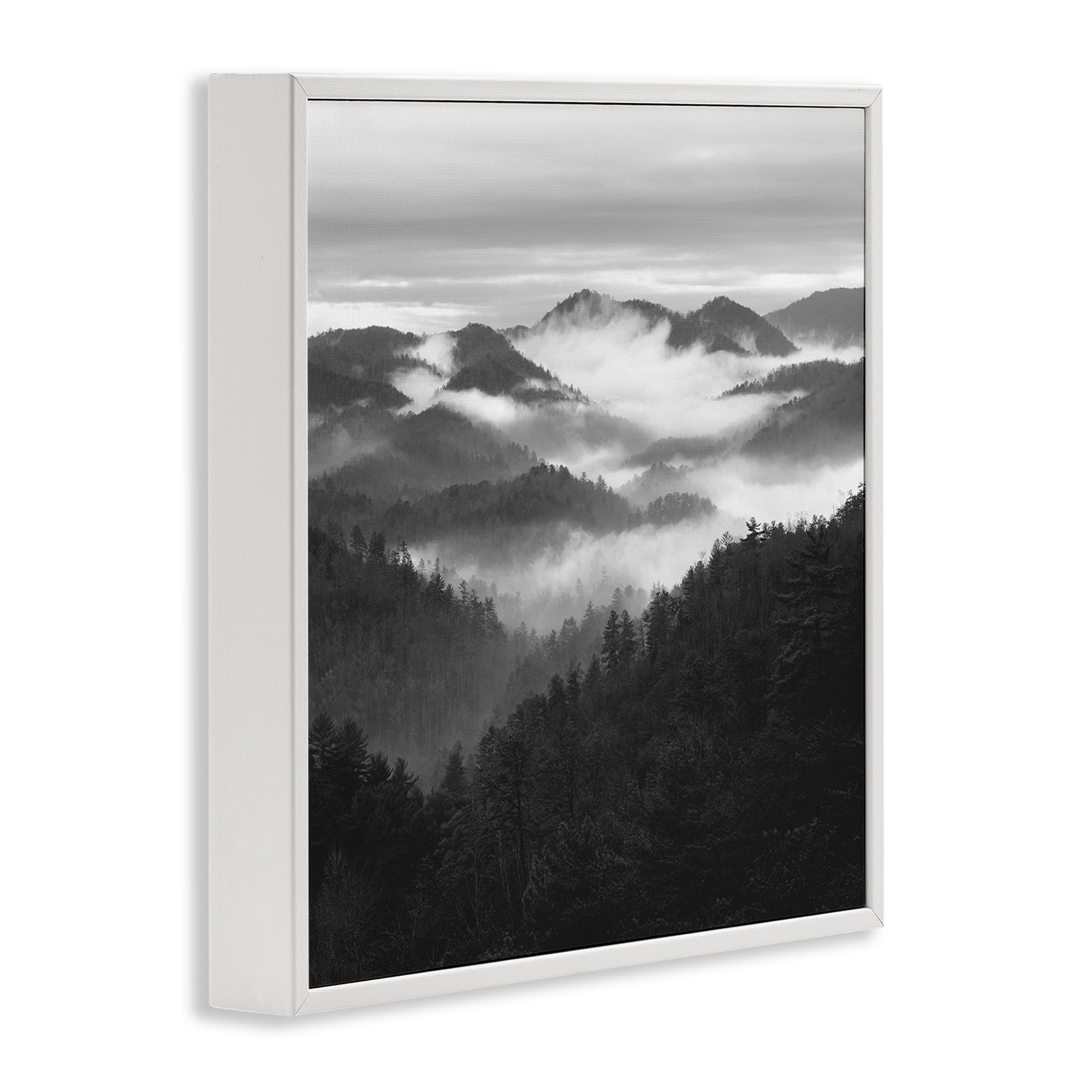 Stupell Industries Smoky Mountains Forest White Framed Giclee Art, design by Nicholas Bell