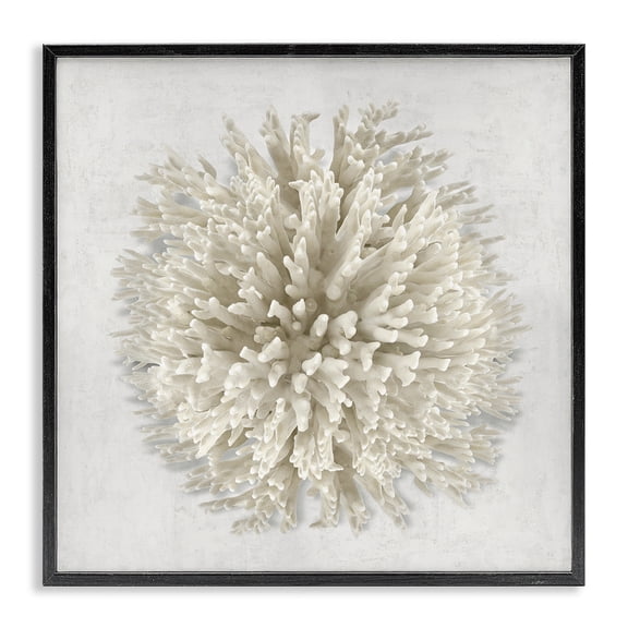 Stupell Industries Natural Round Coral Animals Painting Black Framed Art Print Wall Art, 12 x 12