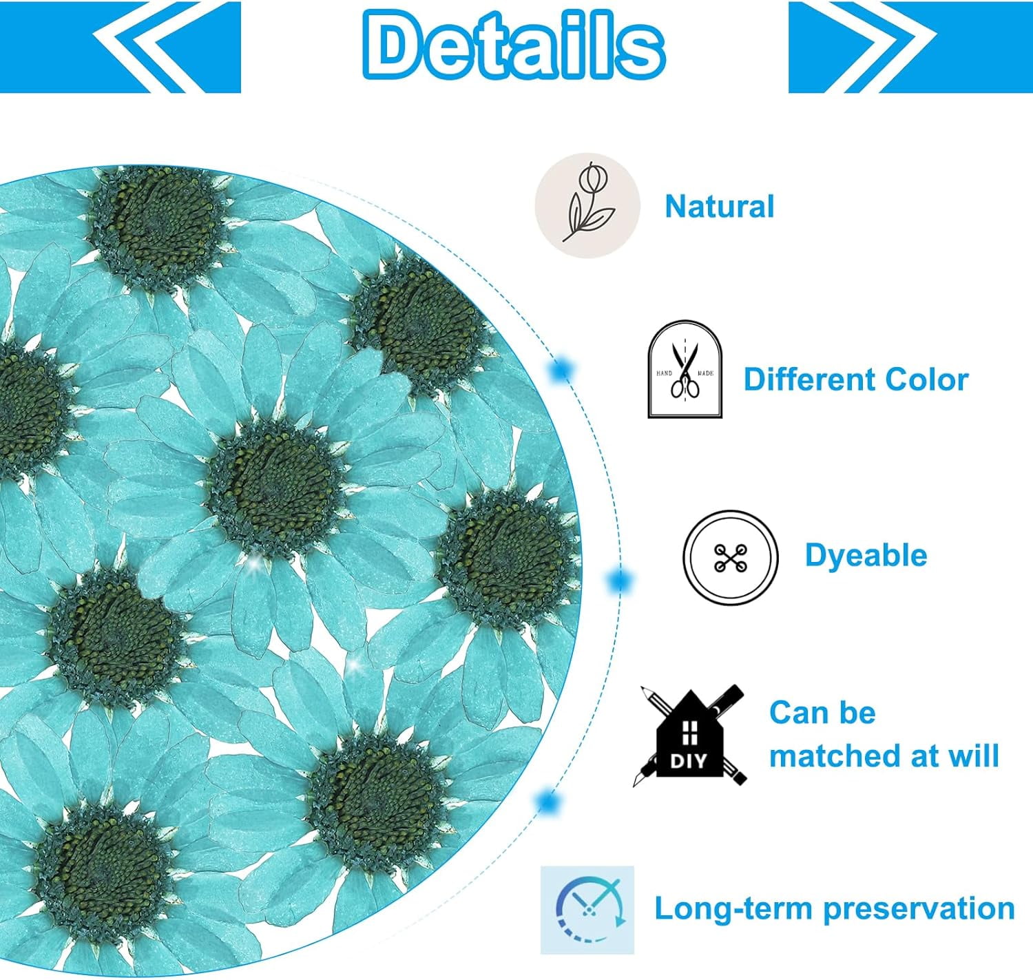 Dalrosia 48PCS Dried Daisy Flower, Vacuum Packaging, Pressed Flower for House Decoration, Jewelry Making, Phone case Decoration