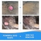 thumbnail image 5 of Eliminación de verrugas en perros, tratamiento para eliminar verrugas en la piel de perros, elimina rápidamente verrugas y verrugas, sin dolor y sin daños, 5 of 5