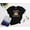Black-5, variant on Cute Kitten CAPTAIN AMEOWICA Funny Cat T-Shirt Size S-5XL