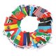 thumbnail image 1 of 100 Countries String Flag International Bunting Pennant Banner Decoration, 1 of 5