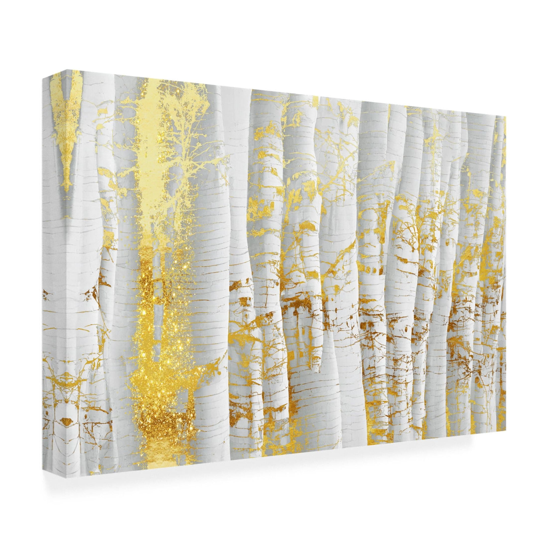 Canvas Wall Art - Tina Lavoie 'Golden Birch' Wall Art for Living Room, Bedroom, or Office Décor by Trademark Fine Art - 24 x 16 Inches