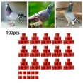 thumbnail image 3 of Yingyy 100Pcs Pigeon Ring 8mm 2023 Dove Tag Clips Rings 100PCS Legs Band for Duck Most Adult Birds Poultry Red, 3 of 6