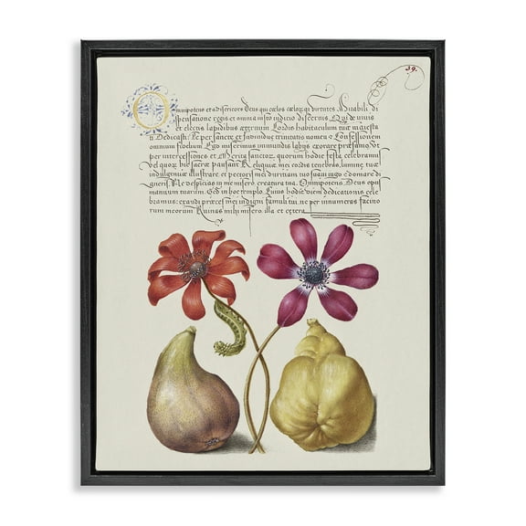 Stupell Industries Vintage Nature Page Text & Numbers Painting Black Floater Framed Canvas Art Print Wall Art, 17 x 21