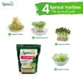 thumbnail image 2 of Nature Jims Sprouts Mezcla De Brotes De Ensalada - Mezcla De Ensalada Orgánica Para Cultivo - Semillas Microverdes Sin Ogm - Brócoli Saludable Alfalfa Rábano Trébol Semillas De Germinación Mezcla Vari, 2 of 5
