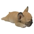 thumbnail image 5 of Sleeping Pug Puppy, 5 of 6