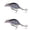 a, variant on Bisitoy 2Pcs Spinner Fishing Lures Set with Colorado Blade for River Smallmouth
