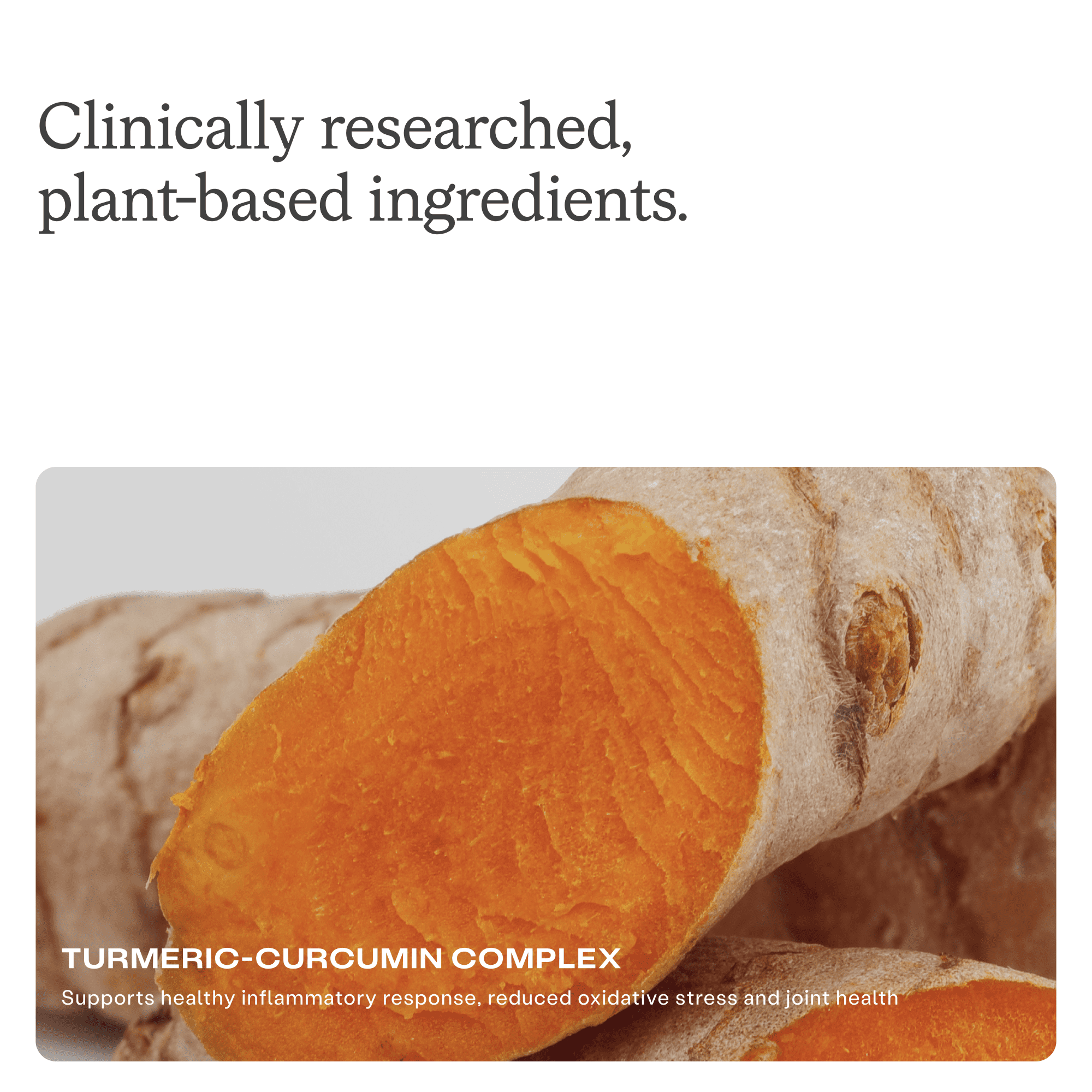 Humann Turmeric Chews Supplement – Clinically Studied High Absorption Curcumin Complex - Orange Citrus Flavor – from SuperBeets Makers – Joint Health – 30 Count