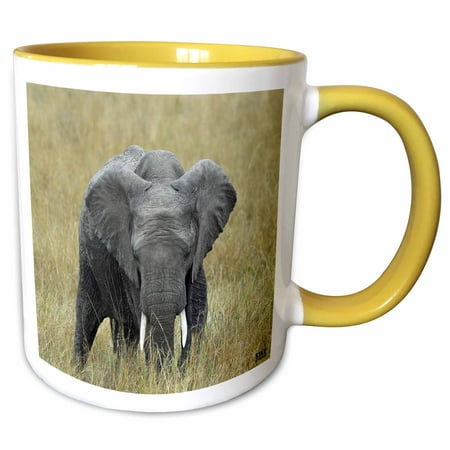 

3dRose African elephant Loxodonta africana Masai Mara National Park Kenya Africa 4 - Two Tone Yellow Mug 11-ounce
