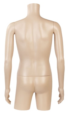 Chest 36", Waist 30" Male Plastic Half Body Mannequin Torso 