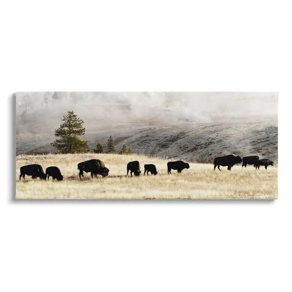 Grazing Bison Rural Country Fog Animals & Insects Photograph Gallery Wrapped Canvas Print Wall Art