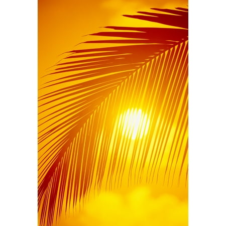 Hawaii Silhouette Of Palm Frond Against Golden Orange Sky Sun Ball Puffy Cloud Along Bottom Canvas Art - Ron Dahlquist  Design Pics (12 x