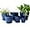 Blue, variant on 7.5/6.5/5.5/4.9/4.2/3.5 inches Plant Planters 6 Pack, Thick Sturdy Plastic Pots for Plants, Indoor/Outdoor 6 Sizes Flower Pots with Drainage Holes and Saucers (6 Sizes,Dark-Blue)