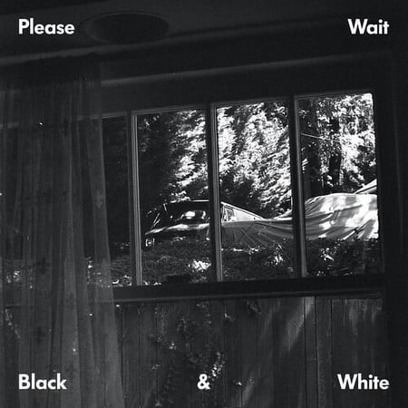 Please Wait - Black & White - Vinyl