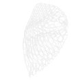 thumbnail image 3 of Net Fly Fishing Landing Net Soft Rubber Mesh Trout Bass Fishing Catch and Release Net, 3 of 7