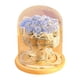 thumbnail image 1 of Decoración de flores de jabón Ramo de rosas múltiples cubierta de vidrio con luces Regalos navideños Regalos de cumpleaños para familiares y amigos, 1 of 5