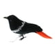 thumbnail image 4 of Pájaro artificial Zulema Gorrión realista, 4 of 5