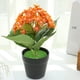 thumbnail image 5 of Bonsái de hortensia de primavera de bienvenida, flor de seda, simulación de planta verde, decoración de interiores, planta artificial, 5 of 5