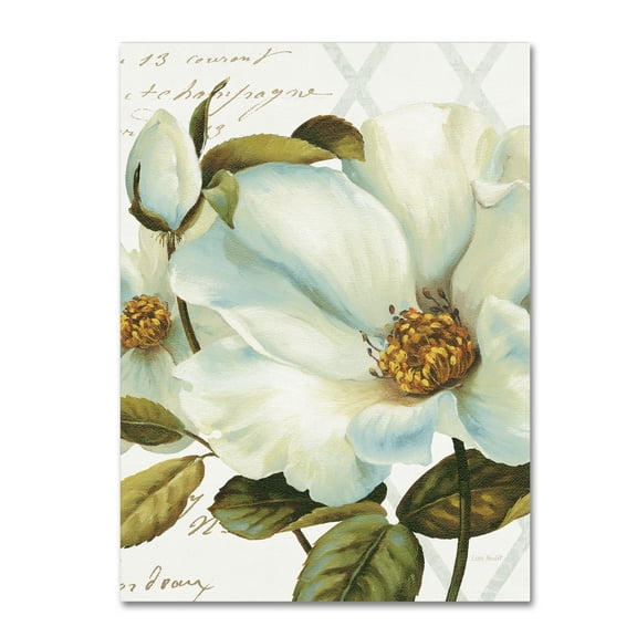 Trademark Fine Art 'White Floral Bliss II Crop' Canvas Art by Lisa Audit