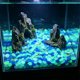 thumbnail image 4 of Guijarros luminosos para acuario que brillan en la oscuridad: piedras luminiscentes para paisajismo acuático, decoración de peceras, relleno de jarrones y jardinería. Grava luminosa de plást, 4 of 6