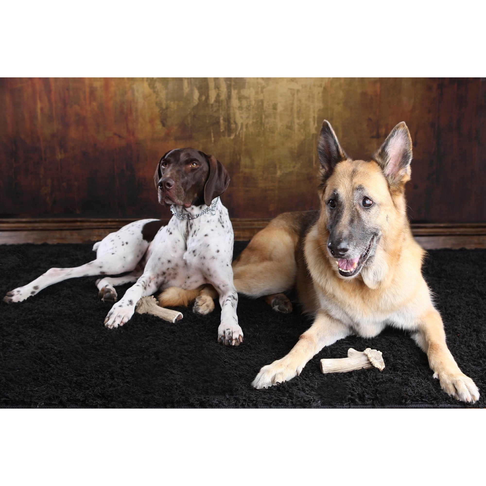 Scout & Zoe's: Elk Antler Splits - Dog Chews, Exposed Marrow Pet Treat, Seniors-Puppies-Light Chewers, No Preservatives, Wild Shed Antler, USA Sourced