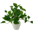thumbnail image 1 of Mainstays Indoor Artificial Potted Golden Pothos, Green Color, Assembled Height: 13", Plastic Pot, 1 of 5