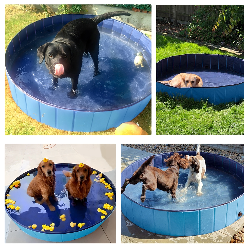 Alden Design 55.1" Pet Swimming Pool for Dogs and Cats, Blue