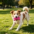 thumbnail image 5 of FTsdfkl 3.5Inch Soft Small Rubber Bone Pet Dog Puppy Cat Toys,Interactive For Cats Play Tug Chew Exercise, Colorful Dot Toy for Puppy Games, 5 of 6