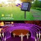 thumbnail image 2 of Luces solares en forma de cuerda QITONG, 10 m, 100 LED, 8 modos, paquete de 2 unidades, 2 of 9