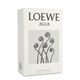 thumbnail image 3 of Agua de Loewe 100 Ml Edt Spray Loewe Model, 3 of 3