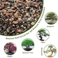 thumbnail image 5 of Bonsai Soil Potting Soil for Bonsai 2 Qt Natural Bonsai Tree Soil Mix for Potted Plant, 5 of 7