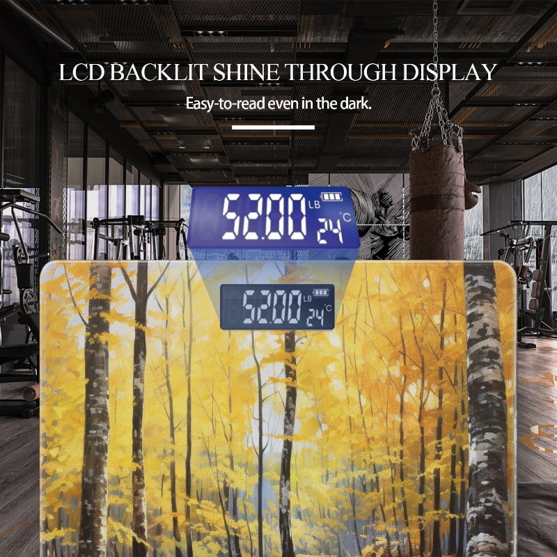 Digital Bathroom Scale with Large LCD Display,High Capacity Scale 400 lbs High Precision body fat scale-Autumn Forest With Yellow Leaves And Birch Trees