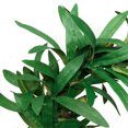 thumbnail image 3 of Guirnalda de hojas artificiales Billuyoard verde 185cm, 3 of 6