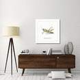 thumbnail image 2 of Global Gallery's 'My Greenhouse Grasshopper' By Lisa Audit Stretched Canvas Wall Art, 2 of 4
