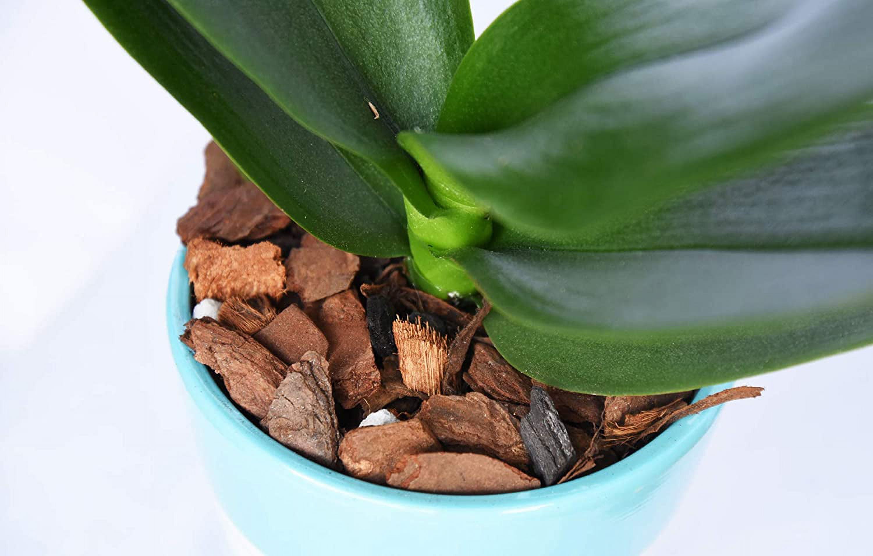 Organic Orchid Potting Mix by Perfect Plants - 8 Quarts