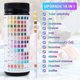 thumbnail image 2 of 14 In 1 Water Quality Test, Pool Spa Test Strips Ph Quick Detection, Water Quality Analysis, Water Test Strips, Test Strips Kit, 2 of 5