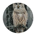 thumbnail image 4 of WYYP Owl, Tree Branch, Forest Round Table Cover 100% Polyester Outdoor Fitted White, 4 of 8