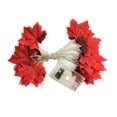 thumbnail image 1 of Mefallenssiah Thanksgiving Led Simulation Maple Leaf String Lights 6 Meters 40 Lights Battery, 1 of 3