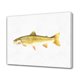 thumbnail image 1 of Póster de lienzo con pintura de peces, decoración de dormitorio, paisaje deportivo, decoración de oficina, regalo, estilo marco, 20 x 30 cm, 1 of 8