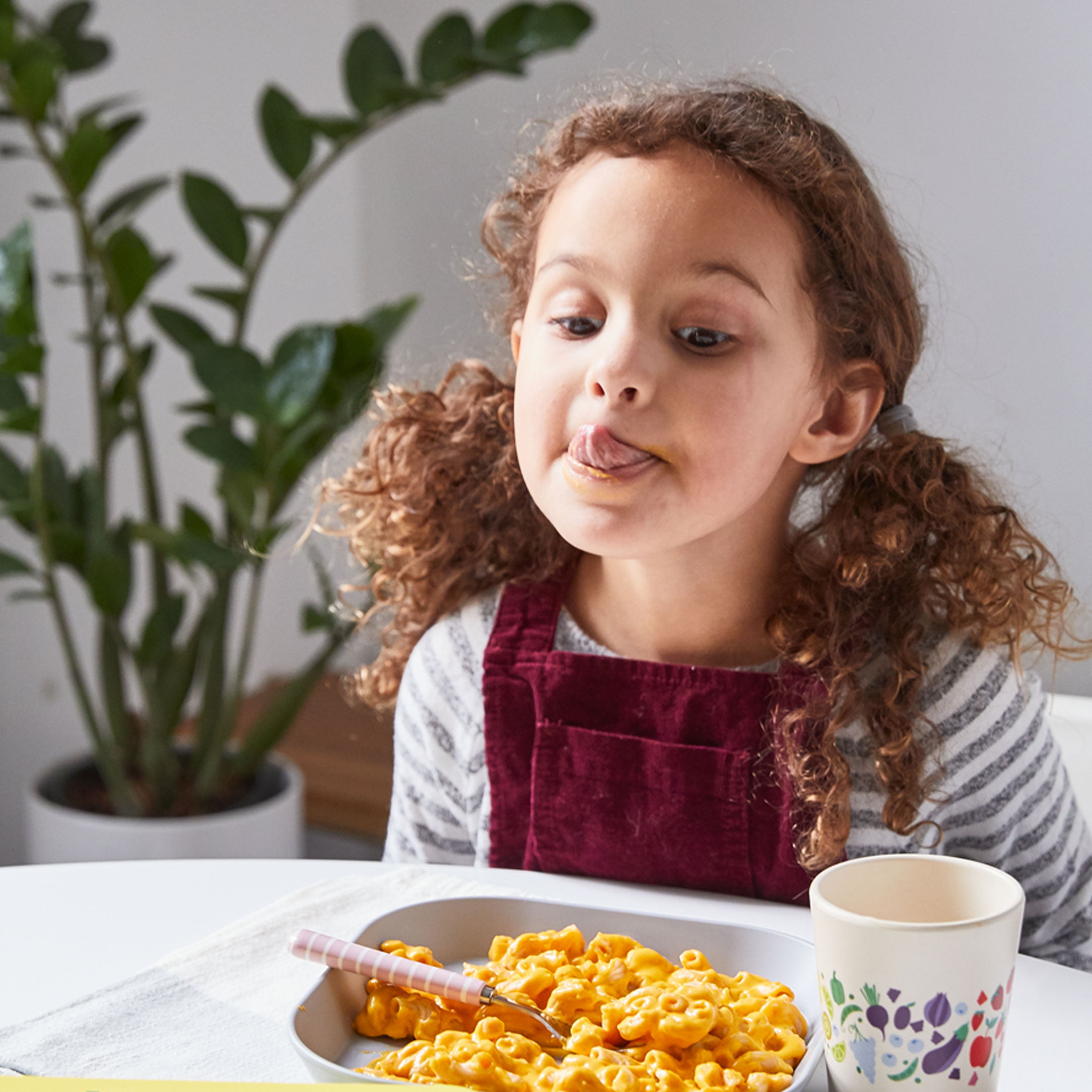 Nurture Life Healthy Toddler & Kid Food Picky Eater 6-Meal Variety