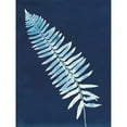 thumbnail image 3 of Rhue, Piper 12x14 Black Modern Framed Museum Art Print Titled - Nature By The Lake - Ferns IV, 3 of 5