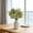 Green, variant on Hovilon White Artificial Carnation Stem - 11.8 Inch Realistic Faux Floral Pick, Plastic Fake Flower for DIY Bouquets, Home, Office, and Dining Table Decor, Maintenance-Free Holiday Arrangement