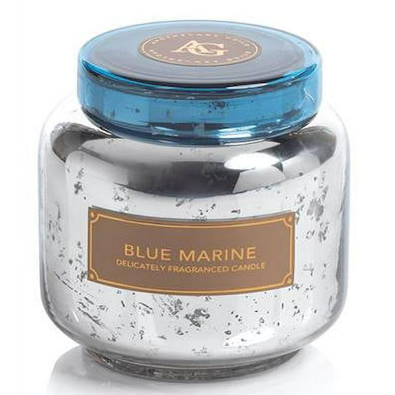 BLUE MARINE Silver Glass Apothecary Guild Zodax 14 oz Scented Jar Candle