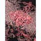 thumbnail image 3 of Blusas de verano para mujer, camiseta ajustada de manga corta con cuello redondo, ropa de calle XBTCLXEBCO short sleeve, 3 of 6