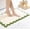 Green, variant on Yardvibe Scalloped Bathroom Rugs, 23.62"x15.74" Quick Dry Absorbent Soft Plush Bath Mats, Non Slip Washable Bath Rugs for Bathroom Floor, Carpet for Sink Bedroom (Black and White)