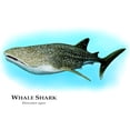 thumbnail image 3 of CafePress - Whale Shark Mug - 11 oz Ceramic Mug - Novelty Coffee Tea Cup, 3 of 6