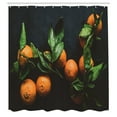 thumbnail image 2 of Ambesonne Dark Orange Shower Curtain, Leafy Branches Mandarin, 69"Wx70"L, Dark Green Charcoal Grey, 2 of 4