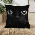 thumbnail image 5 of Cute Animal Cat Throw Pillow Cover 18x18 Inch Cat Dog Printed Throw Pillow Covers Decorations Animals Decorative Cushion Cases Home Décor for Couch Bed Sofa Bedroom, 5 of 6